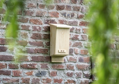Vleermuizen ophangkast